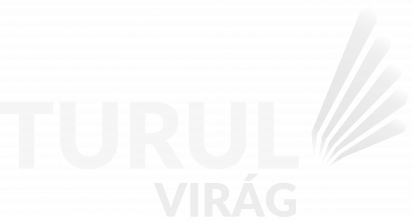 Turul Virág